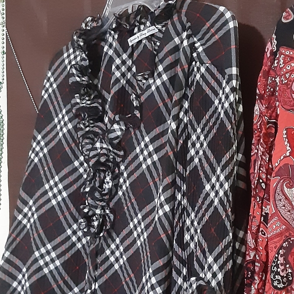 Chiffon Blouses - Picture 6 of 7